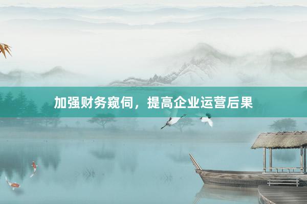 加强财务窥伺，提高企业运营后果